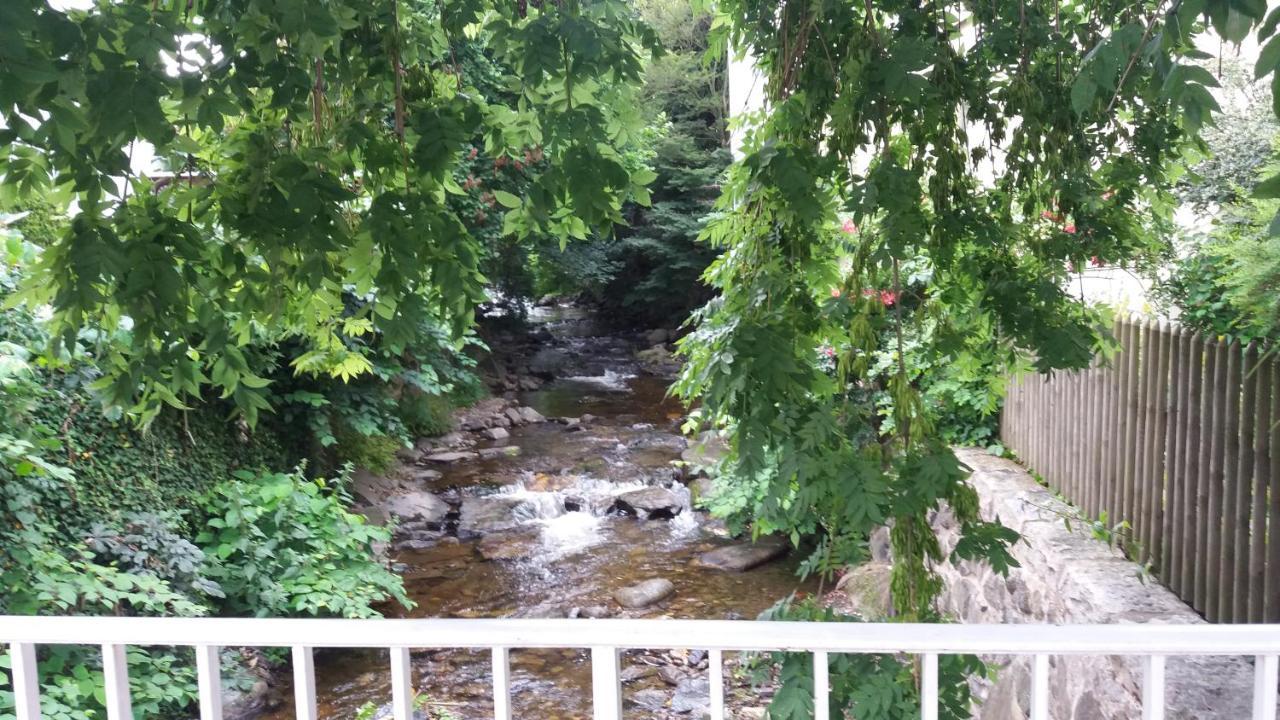 Appartement An Der Radau Bad Harzburg Kültér fotó